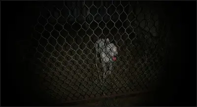Granny: Escape Together screenshot 9