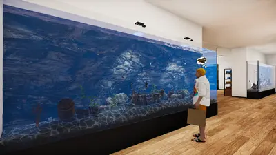 Aquatic Store Simulator screenshot 17