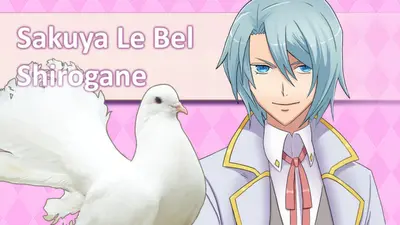 Hatoful Boyfriend screenshot 7