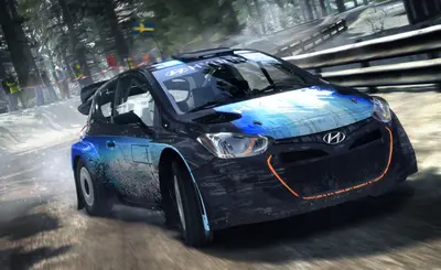 DiRT Rally screenshot 21