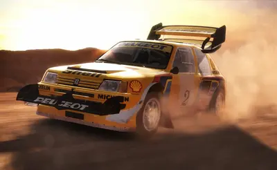 DiRT Rally screenshot 49