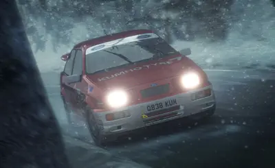 DiRT Rally screenshot 6