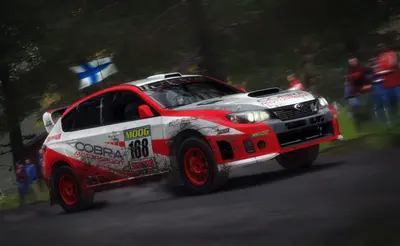 DiRT Rally screenshot 29