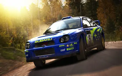 DiRT Rally screenshot 30