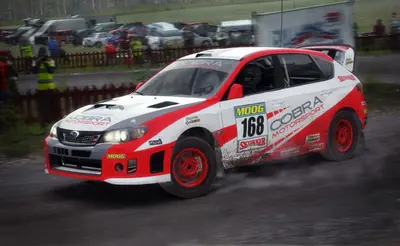 DiRT Rally screenshot 26
