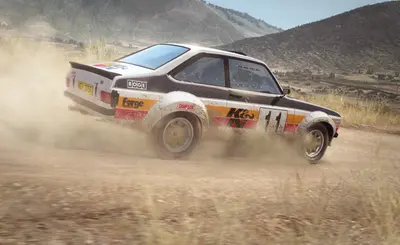 DiRT Rally screenshot 11