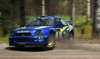 DiRT Rally screenshot 32