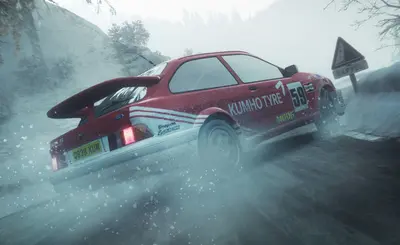 DiRT Rally screenshot 19