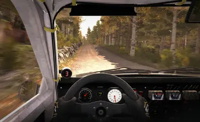 DiRT Rally screenshot 18