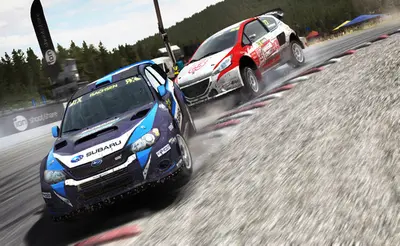 DiRT Rally screenshot 35