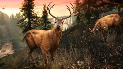 Grand Theft Auto V Enhanced screenshot 9