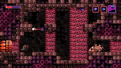 Axiom Verge screenshot 9