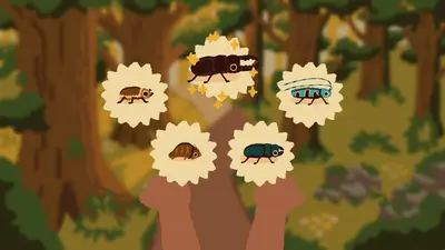 Kabuto Park screenshot 11