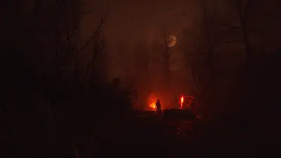 Blood Bear screenshot 8