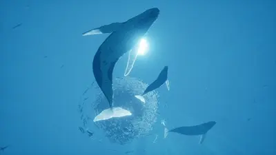 ABZU screenshot 2
