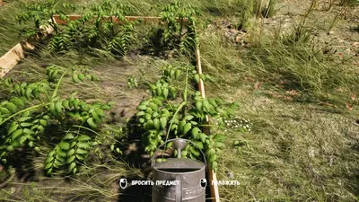 ДАЧА screenshot 7