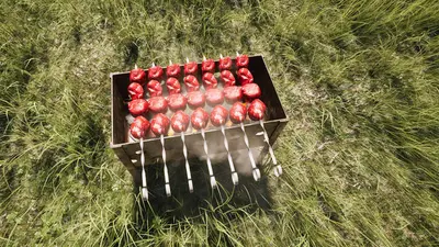ДАЧА screenshot 1
