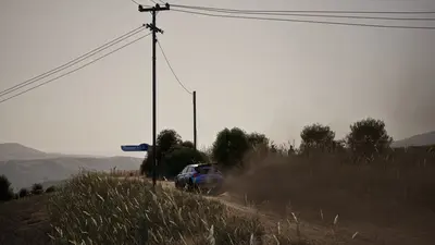 Assetto Corsa Rally screenshot 3