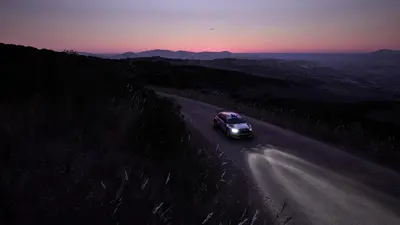 Assetto Corsa Rally screenshot 7