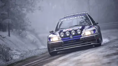 Assetto Corsa Rally screenshot 13