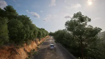 Assetto Corsa Rally screenshot 8