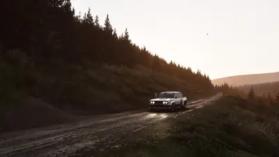 Assetto Corsa Rally screenshot 126
