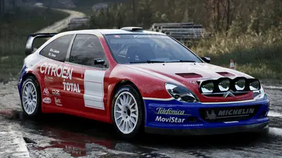 Assetto Corsa Rally screenshot 142