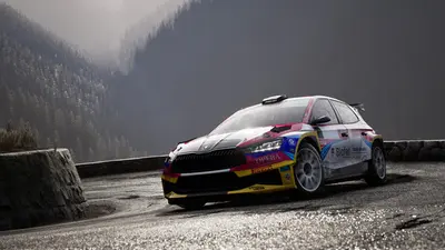Assetto Corsa Rally screenshot 24