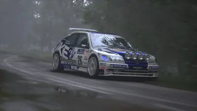 Assetto Corsa Rally screenshot 16