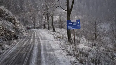 Assetto Corsa Rally screenshot 39