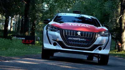 Assetto Corsa Rally screenshot 135