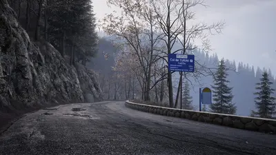 Assetto Corsa Rally screenshot 31