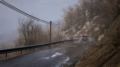 Assetto Corsa Rally screenshot 40
