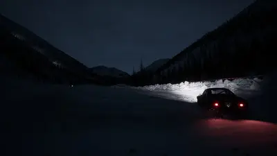 Assetto Corsa Rally screenshot 54