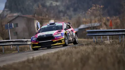 Assetto Corsa Rally screenshot 28