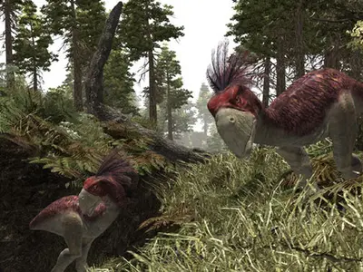 Gothic® 3 screenshot 13
