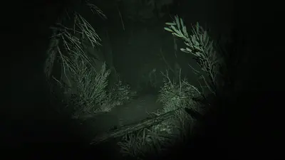 Outlast 2 screenshot 18