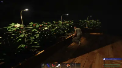 Subsistence screenshot 39
