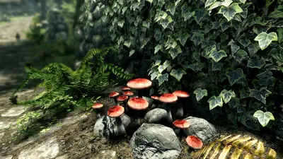 The Elder Scrolls V: Skyrim Special Edition screenshot 5