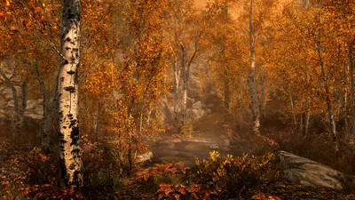 The Elder Scrolls V: Skyrim Special Edition screenshot 2