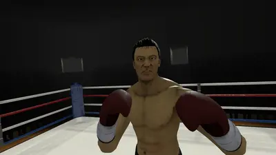 The Thrill of the Fight - VR Boxing screenshot 3