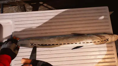 Fishing: Barents Sea screenshot 3