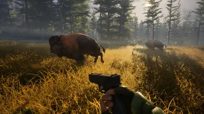 BIGFOOT screenshot 1