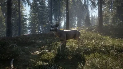 theHunter: Call of the Wild™ screenshot 23