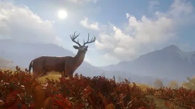 theHunter: Call of the Wild™ screenshot 8
