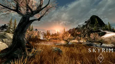 The Elder Scrolls V: Skyrim VR screenshot 0