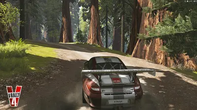 V-Rally 4 screenshot 13