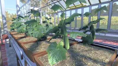 Farmer's Dynasty screenshot 6