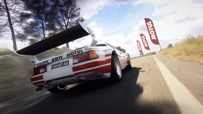 DiRT Rally 2.0 screenshot 7