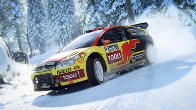 DiRT Rally 2.0 screenshot 9